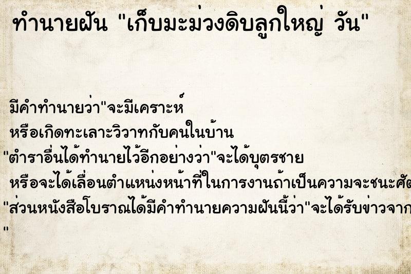 ทำนายฝันทำนายฝันเก็บมะม่วงดิบลูกใหญ่วัน